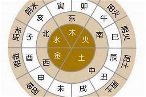 水年年份|金水年 木火年